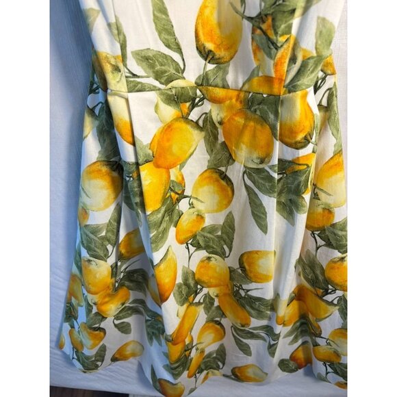 Anne Klein Lemon Print Sleeveless Fit & Flare Dress With Waist Tie Size 6 White/ - Picture 5 of 11